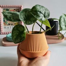Load image into Gallery viewer, Small planter with drainage