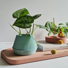 Load image into Gallery viewer, Small planter with drainage