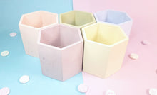 Load image into Gallery viewer, Pastel Hexagon Pen/Brush Holder